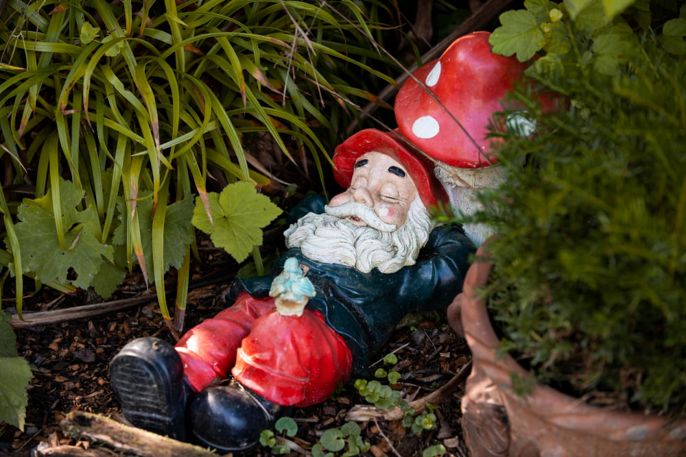 Garden landscape with Gnomes