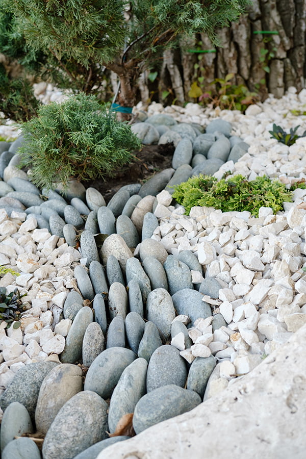 garden xeriscape rocks