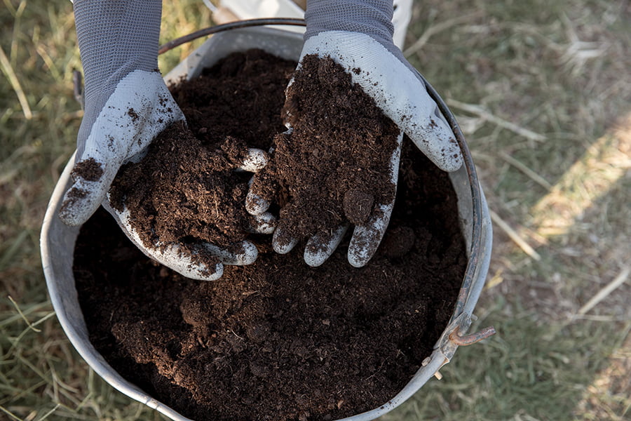 home clay soil
