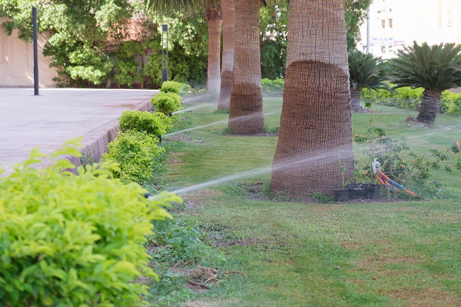 home xeriscape Sprinkler Systems