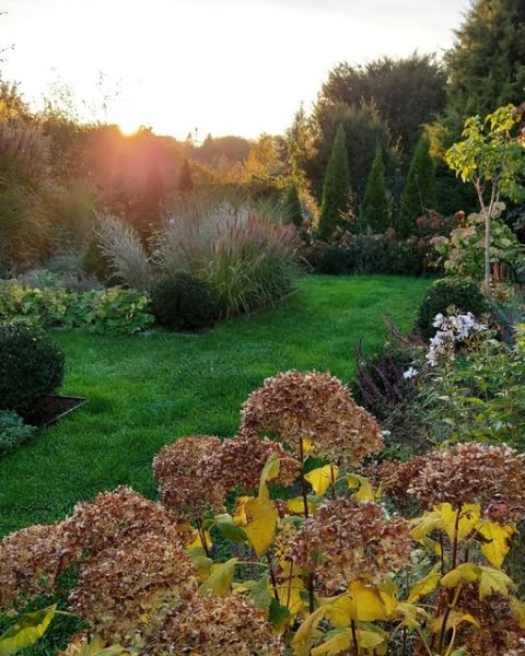 Hydrangea Garden Fairytale landscape design with hydrangeas
