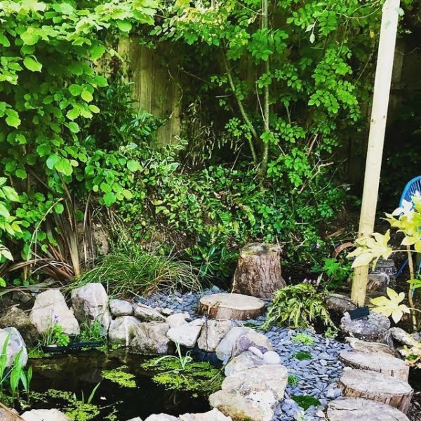 21 Natural Pond Landscaping Ideas for Your Water Wonderland