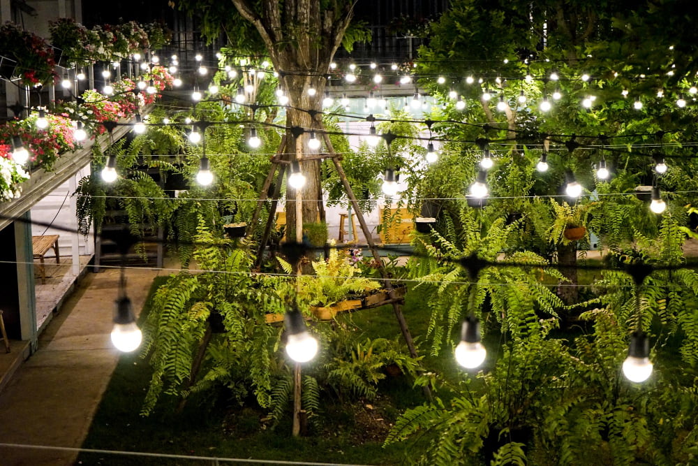 garden lights at night
