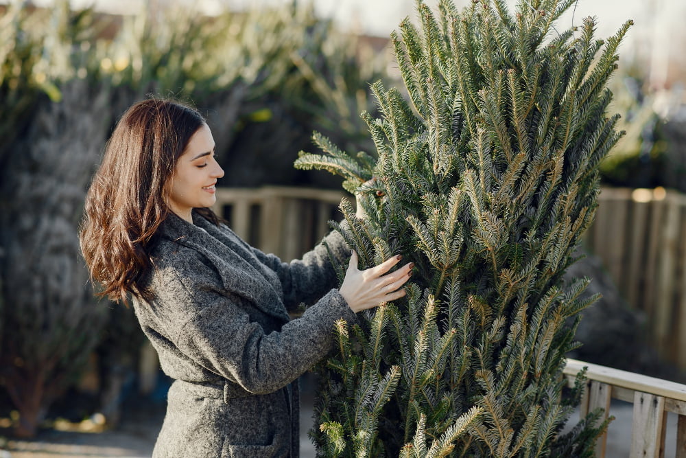 lady selecting trees