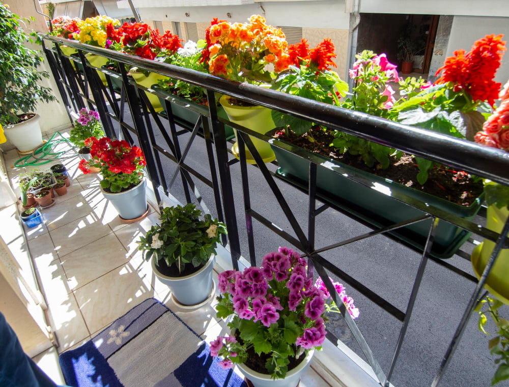 potted plants in balcony