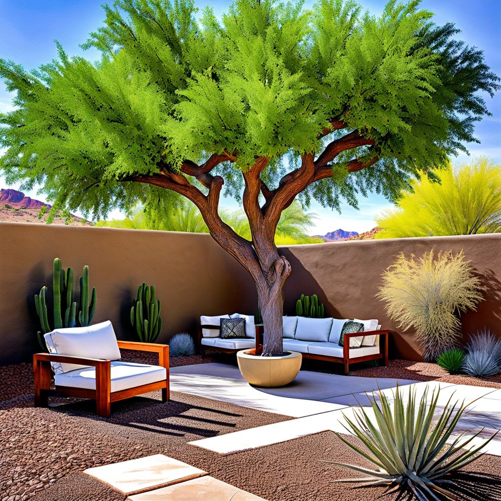 set up a drought tolerant shade tree seating area